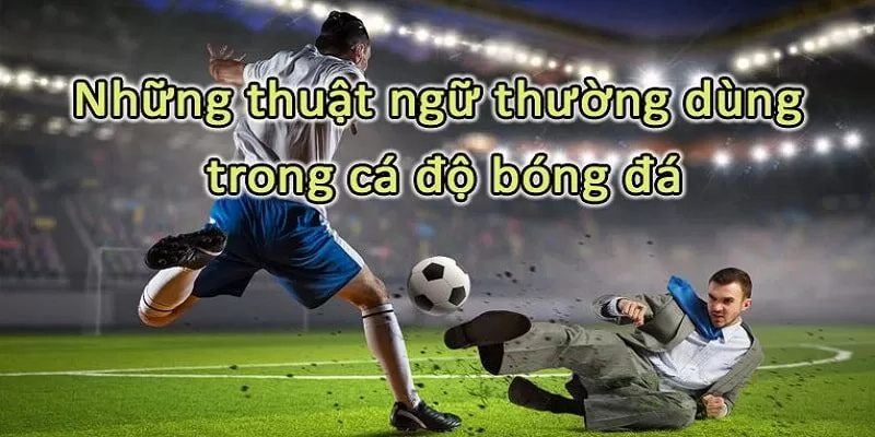 C&aacute;c thuật ngữ c&aacute; độ b&oacute;ng đ&aacute; k&egrave;o ch&acirc;u &acirc;u